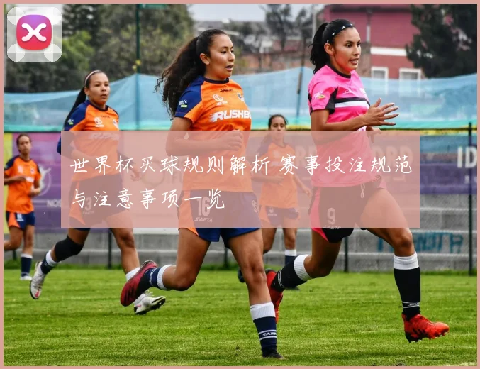 世界杯买球规则解析 赛事投注规范与注意事项一览