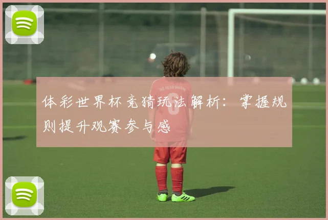 体彩世界杯竞猜玩法解析:掌握规则提升观赛参与感