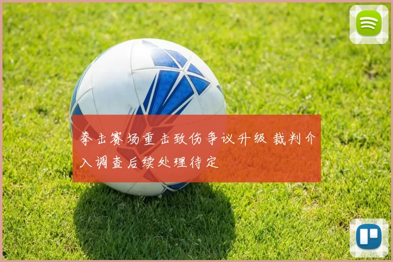 拳击赛场重击致伤争议升级 裁判介入调查后续处理待定