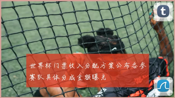 世界杯门票收入分配方案公布各参赛队具体分成金额曝光
