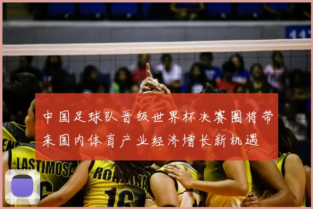 中国足球队晋级世界杯决赛圈将带来国内体育产业经济增长新机遇