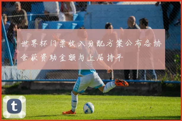 世界杯门票收入分配方案公布各协会获资助金额与上届持平