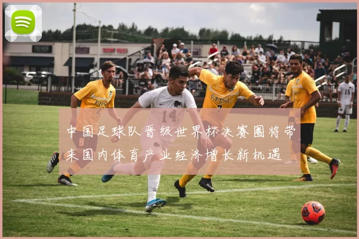 中国足球队晋级世界杯决赛圈将带来国内体育产业经济增长新机遇