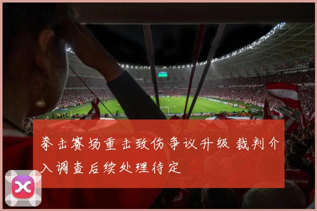 拳击赛场重击致伤争议升级 裁判介入调查后续处理待定